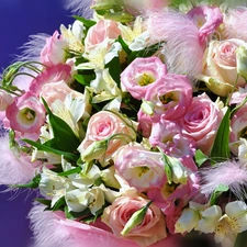 Pink, bouquet, Pink