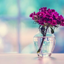 Pink Bearded, vase