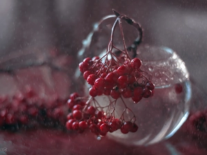 Fruits, glass, vase, Plant