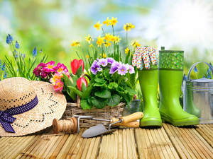 planting, Spring, flowers, tools, basket, watering can, Hat, primroses, wellingtons