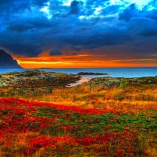 clouds, Stones rocks, Plants, sea