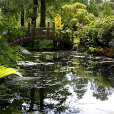 Park, bridges, Plants, Pond - car