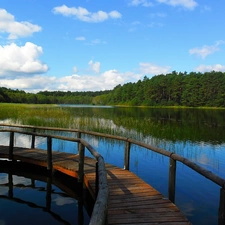 lake, rushes, Platform, summer