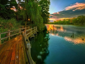 lake, Platform, Willow, Great Sunsets