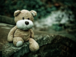 toy, Plush, Stone, teddy bear