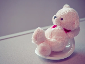 teddy bear, White, Plush