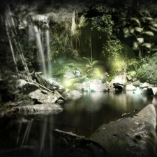 pond, magic, forest