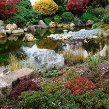 Pond - car, Stones, color, Bush, Garden