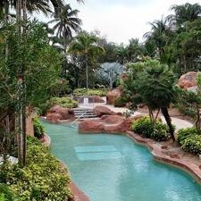 exotic, Palms, Pool, Garden