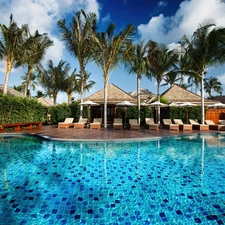 Palms, Hotel hall, Pool