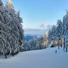 Mountains, Przebijaj?ce, luminosity, ligh, flash, forest, winter, sun