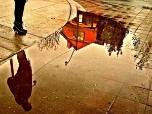 puddle, reflection, Womens