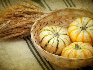 basket, Ears, cereals, pumpkin