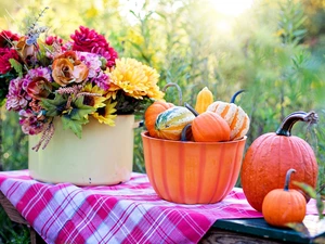 bowl, autumn, bouquet, pumpkin, Garden, Flowers, composition