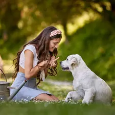 girl, Puppy, Golden Retriever, Meadow