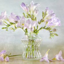 Light Purple, glass, vase, Freesias
