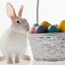 basket, eggs, Rabbit, easter