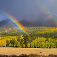 autumn, Mountains, rainbows, woods