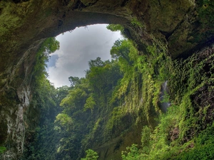 forest, Amazon, cave, rainy