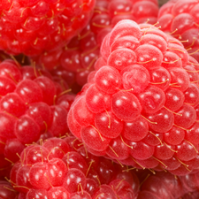 raspberries