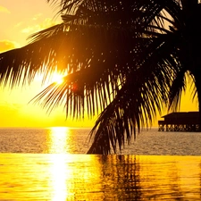 rays, sun, Palms, pier, sea