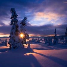 viewes, woods, sun, trees, Mountains, rays, winter