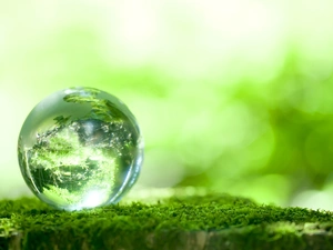 reflection, Moss, Ball