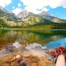 lake, Mountains, reflection, woods