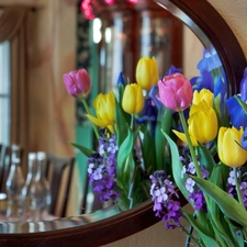 reflection, Tulips, Mirror