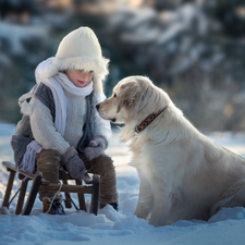 sledge, boy, Golden Retriever, snow, dog, winter