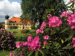 Spring, Rhododendrons, Ramspau, Park, Castle