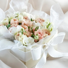 ribbon, Box, roses, White, bouquet