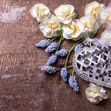 Heart, ribbon, Flowers, Muscari, White