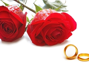 rings, Red, roses