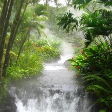 River, jungle, green