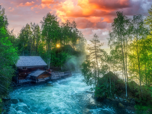 Oulanka National Park, green ones, viewes, Lapland, River, forest, trees, Finland, Kuusamo Municipality, Myllykoski Mill