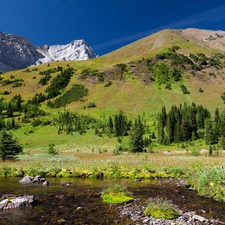Mountains, forest, River, Meadow