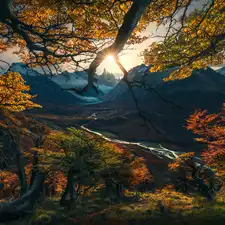 trees, Patagonia, autumn, River Rio de las Vueltas, Mountains, Argentina, Los Glaciares National Park, rays of the Sun, viewes, Fitz Roy Mountain