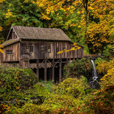 Cedar Creek Mill Grist Mill, autumn, River, trees, Washington State, The United States, forest, Woodland, viewes