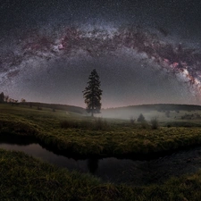 Fog, star, viewes, Night, Star way, trees, River