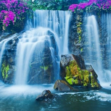 rocks, waterfall, Flowers