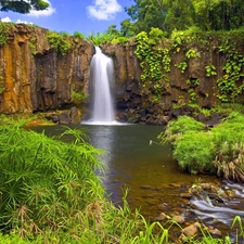 lake, Bush, rocks, waterfall