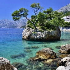 Mountains, Coast, rocks, sea