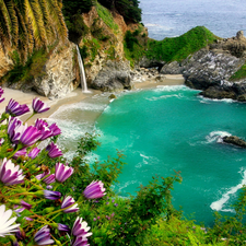 sea, Flowers, rocks, Gulf