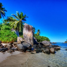 sea, Palms, rocks, Beaches