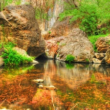 trees, lake, rocks, viewes