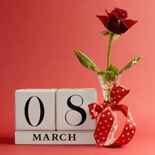 March 8, women, rose, day