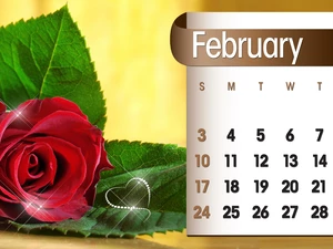 Calendar, february, 2013, rose