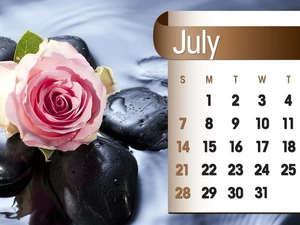 Calendar, july, 2013, rose