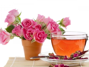 rose, roses, tea